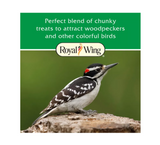 Royal Wing 14231 All Seasons Wild Bird Woodpecker Seed Cake Bird Food, 24 oz.