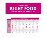 Royal Wing 14232 Wild Bird Fruit and Nut Seed Cake Snak Food, 24 oz. - view 9