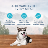 Blue Buffalo Wilderness Beef and Chicken Grill Pate Wet Dog Food 12.5 oz - 1 Can
