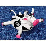 Swimline 90268SL 56" x 52" LOL Series Crazy Cow