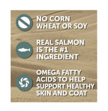 4health w/ Wholesome Grains Adult Salmon & Potato Wet Dog Food, 1 Can - 13.2 oz. - view 5