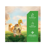 DuMOR 1000238 Chick Grit Insoluble Crushed Granite Chicken Feed Supplement, 5 lb. Bag
