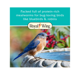 Royal Wing 14326 All Seasons Mealworm Suet Bird Food, 11 oz. Tay - view 6