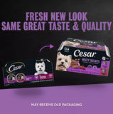 Cesar Loaf Small Breed Adult Beef Pate Wet Dog Food Variety Pack - 12 pcs - view 10