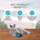 Blue Buffalo High Protein Natural Adult Indoor Dry Cat Food, Chicken 11 lb. - view 9