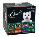 Cesar Classic Loaf Small Breed Adult Pate Wet Dog Food Variety Pack, 24 pcs.