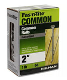 Hillman 461279 Galvanized Fas-n-Tite Common Nails for Exterior, 6D x 2 in. -1 lb
