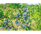 Pirtle Nursery 3648 Powder Blue Blueberry #2 Shrub, 1.5 gal.