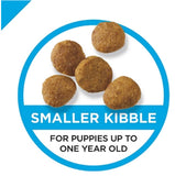 Purina Pro Plan 038100132741 Focus Puppy Lamb & Rice Recipe Dry Dog Food, 34 lb.