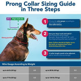 Retriever 05590 Q G4022 Adjustable Prong Dog Training Collar, Chrome, 16 in.