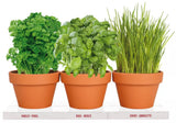 Totalgreen TSU-012 Kitchen Herb Terra Cotta Grow Kit, 3-Pack