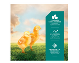 DuMOR 3006317-306 Poultry Supplies 20% Chick Starter/Grower Crumbled Chicken Feed, 50 lb. Bag