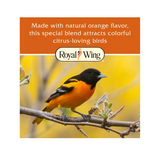Royal Wing 13128 Wild Bird All-Season Orange Flavor Suet Cake, 11.25 oz. - view 5