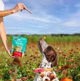 Ark Naturals ARK-A43103 - Breath Bursts Peppermint Sticks Dog Dental Treats