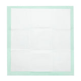 Retriever 23x24in Super Absorbent Dog Training Pads with Home Shield - 100 Count