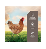 DuMOR 1000242 Oyster Shell Calcium Supplement for Chickens, 5 lb. Bag