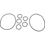 Jandy Zodiac Polaris 5-9-2001 Complete Rebuild Kit for Caretaker Valve 592001