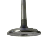 Sealed Power Federal Mogul  V4426 V 4426 Valve New Free Shipping