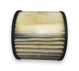 Parts Master 46179 Air Filter 2-3924, CA3924, AF910, A1098, 23924, 3924, 1098