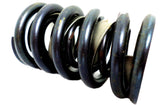 Perfect Circle 212-1316 (1) Engine Valve Spring 2121316 Chevrolet 1966-1976 New!