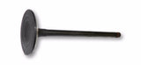 Beck/Arnley 021-3193 Engine Intake Valve