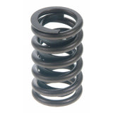 Perfect Circle 212-1151 Engine Valve Spring-Exhaust Valve Spring