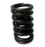 Perfect Circle 212-1151 Engine Valve Spring-Exhaust Valve Spring