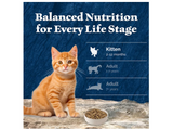 Blue Buffalo 800364 Kitten Grain-Free Chicken Recipe Dry Cat Food, 5 lb. Bag