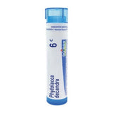 Phytolacca Decandra 6C - Homeopathic Remedy for Sore Throat to Ears (80 Pellets)