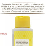 Burt's Bees FFP7258 Oatmeal Dog Shampoo w/ Colloidal Oat Flour & Honey - 16 oz.