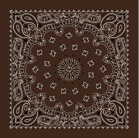 Carolina B22PAI-050004 Hav-A-Hank Paisley Bandana, Cocoa Brown, 22 x 22 in.