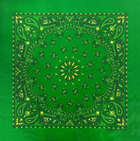 Carolina B22PAI-050004 Hav-A-Hank Paisley Bandana, Green/Yellow, 22 x 22 in.