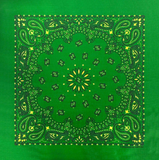 Carolina B22PAI-050004 Hav-A-Hank Paisley Bandana, Green/Yellow, 22 x 22 in.