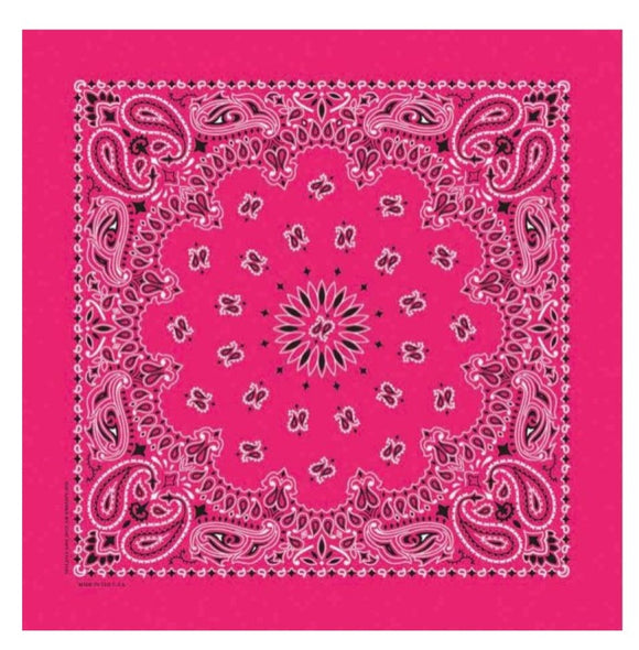 Carolina Creative B22PAI-050004 Hav-A-Hank Paisley Bandana Hot Pink 22in. x 22in