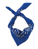 Carolina B22PAI-050004 Hav-A-Hank Paisley Bandana, Royal Blue, 22 x 22 in.