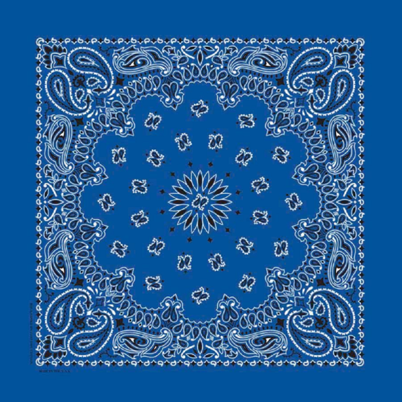 Carolina B22PAI-050004 Hav-A-Hank Paisley Bandana, Royal Blue, 22 x 22 in.