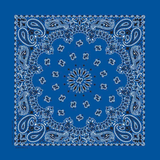 Carolina B22PAI-050004 Hav-A-Hank Paisley Bandana, Royal Blue, 22 x 22 in.