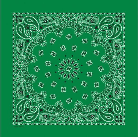 Carolina PBATSC-000524 Hav-A-Hank Kelly Green Paisley Bandana, 22