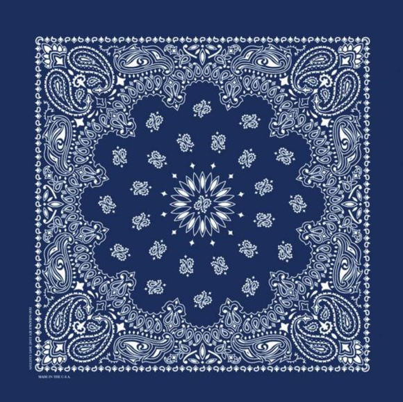 Carolina Creative Products PBATSC-000525 Hav-A-Hank Navy Paisley Bandana