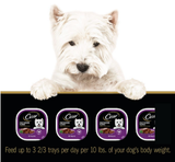 Cesar 10192124 Soft Wet Dog Food Classic Loaf,Filet Mignon Flavor,3.5 oz., 24-Pk