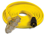 Champion 100453 20 ft. 30A 125/250V Fan-Style Flat Generator Extension Cord, L14-30P to Four 5-20R