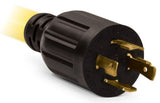 Champion 100453 20 ft. 30A 125/250V Fan-Style Flat Generator Extension Cord, L14-30P to Four 5-20R - view 3