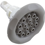 CMP 23452-719-000 5" Typhoon 14-Port Rotossage Jet Internal - Textured Gray