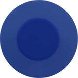 Custom Molded CMP 27052-019-000 Bottom Load Blue Rainbow 335 Spa Disinfector