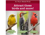 Royal Wing 13681 Total Care No Waste Sweet Fruit Wild Bird Food, 25 lb. Bag - view 10
