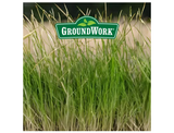 GroundWork 440AP0048UC-5 3,500 sq. ft. Landscapers Mix Grass Seed, South, 5 lb.