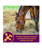 Horse Health 74110 Red Cell Iron-Rich Supplement for Horses, 1 gal.
