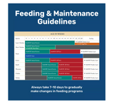 DuMOR 3006319-206 16% Layer Pelleted Chicken Feed, Calcium Fortified, 50 lb. Bag