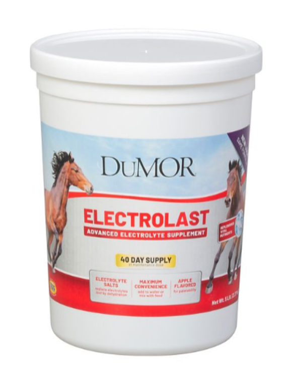 DuMOR TRS1525B 5 Pounds Electrolytast: Electrolyte Supplement for Horses