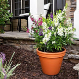 Border Concepts 800119 Frost-Resistant Terra Cotta Red Planter Pot, 12 in.